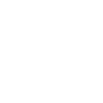 特約店限定流通