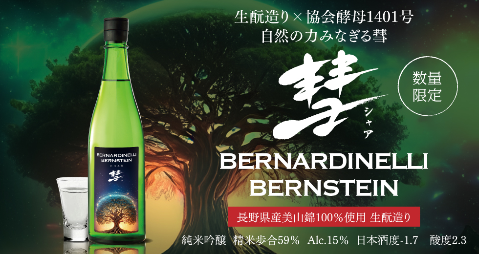 彗 BERNARDINELLI-BERNSTEIN